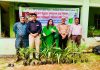 সিলেট-চট্টগ্রাম ফ্রেন্ডশিপ ফাউন্ডেশনের উদ্যোগে বৃক্ষরোপণ ও চারা বিতরণ